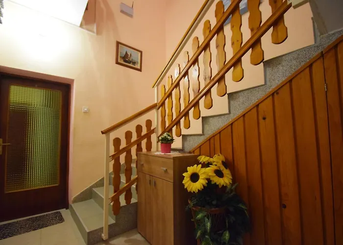 Mira 스타리그라드 파클레니차